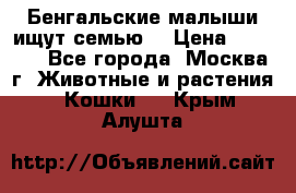 Бенгальские малыши ищут семью) › Цена ­ 5 500 - Все города, Москва г. Животные и растения » Кошки   . Крым,Алушта